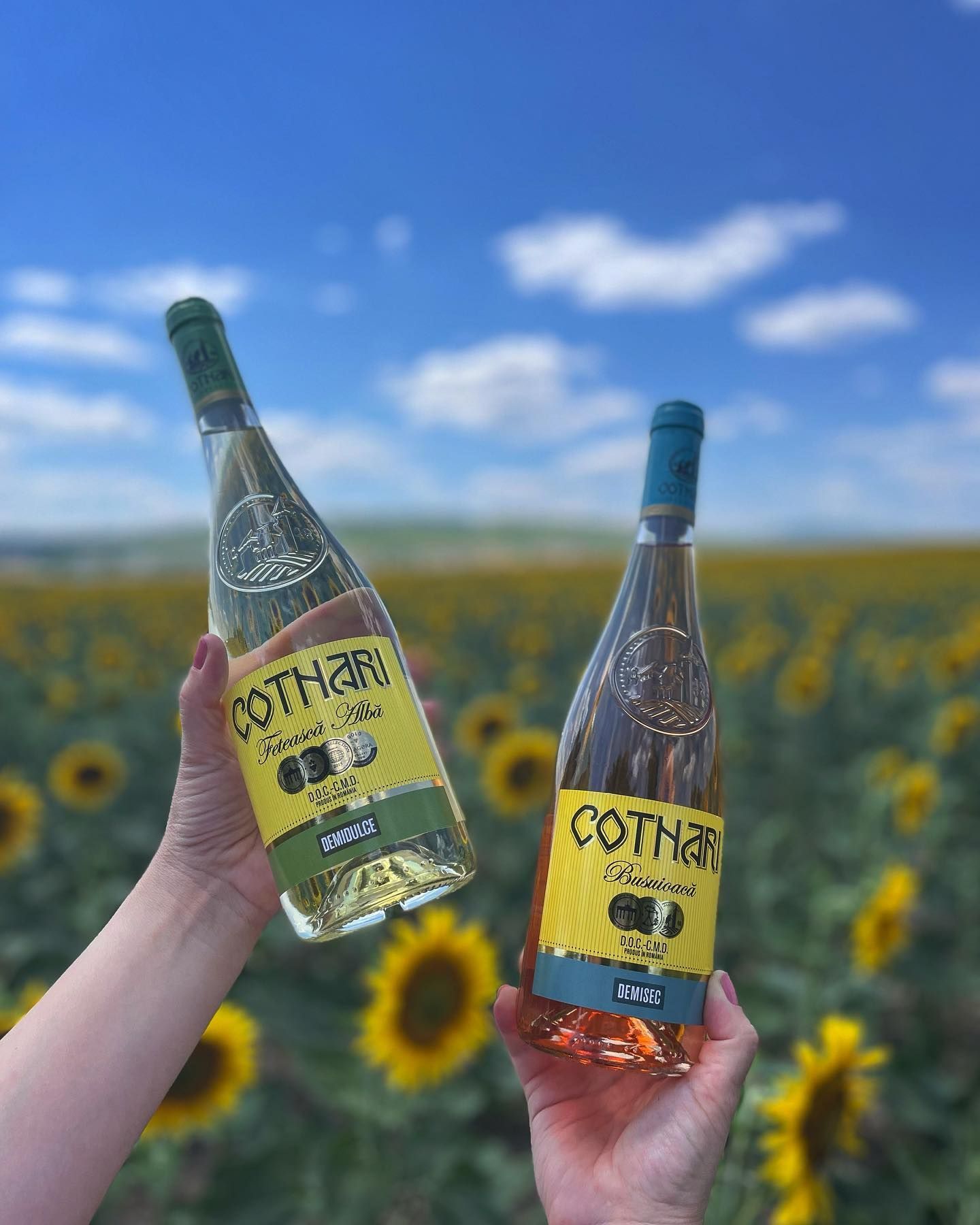 Most Awarded Wine, world record set by Romania's 'Grasa de Cotnari'
