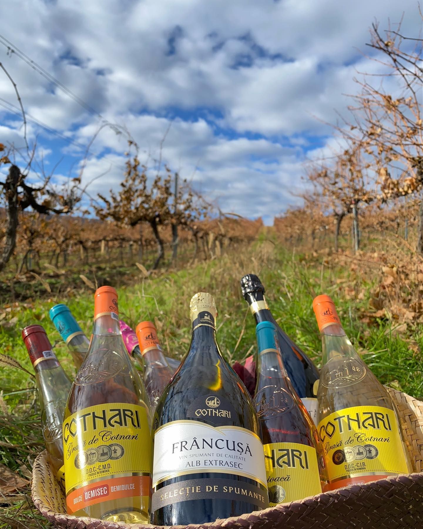 Most awarded winery, world record set by the Cotnari Winery
