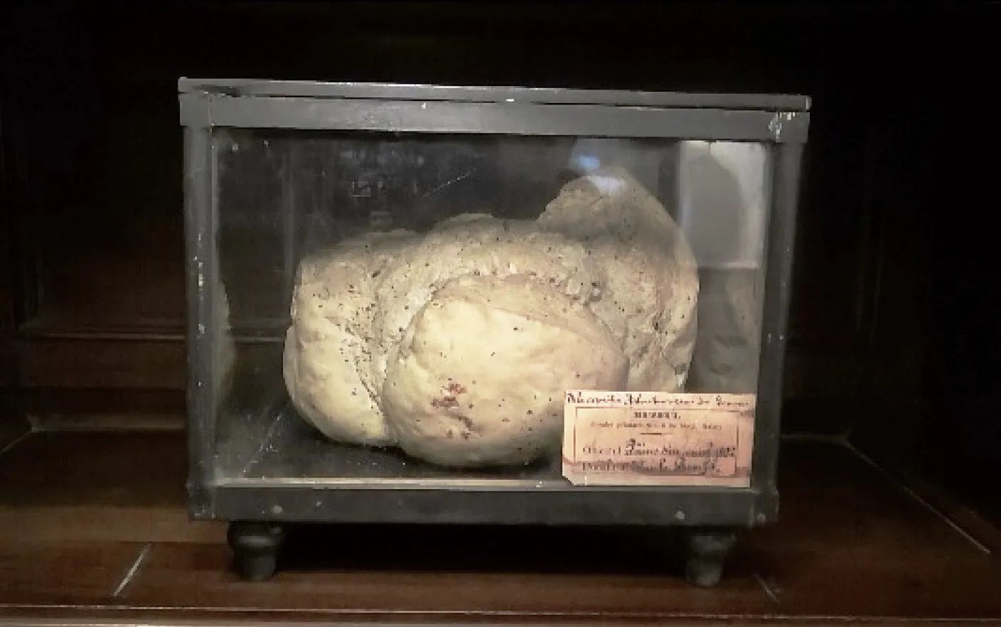 World's Oldest Bread, world record in Galați, Romania
