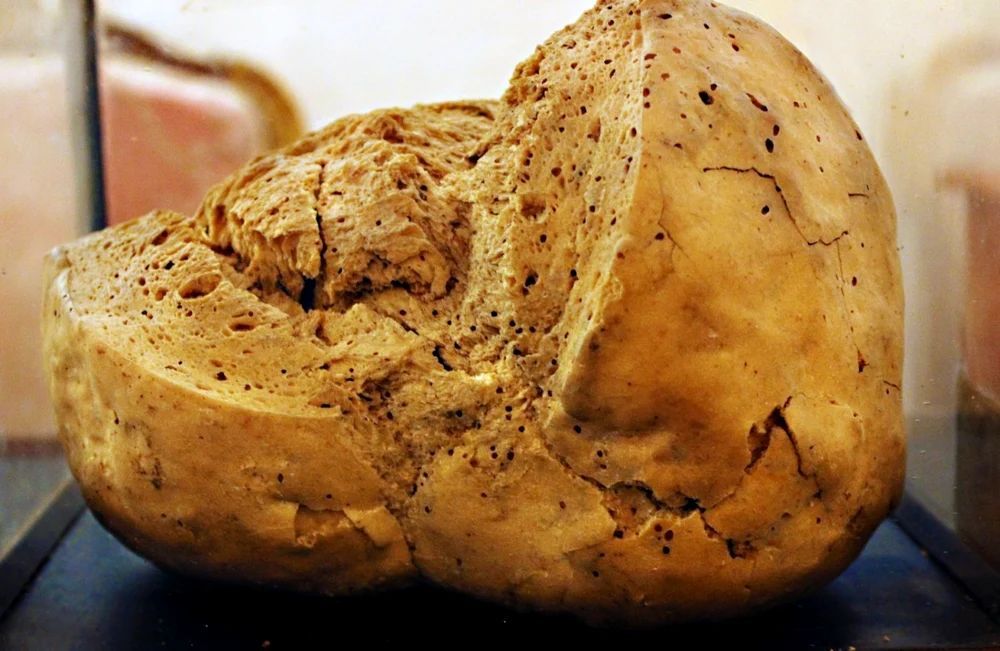 World's Oldest Bread, world record in Galați, Romania
