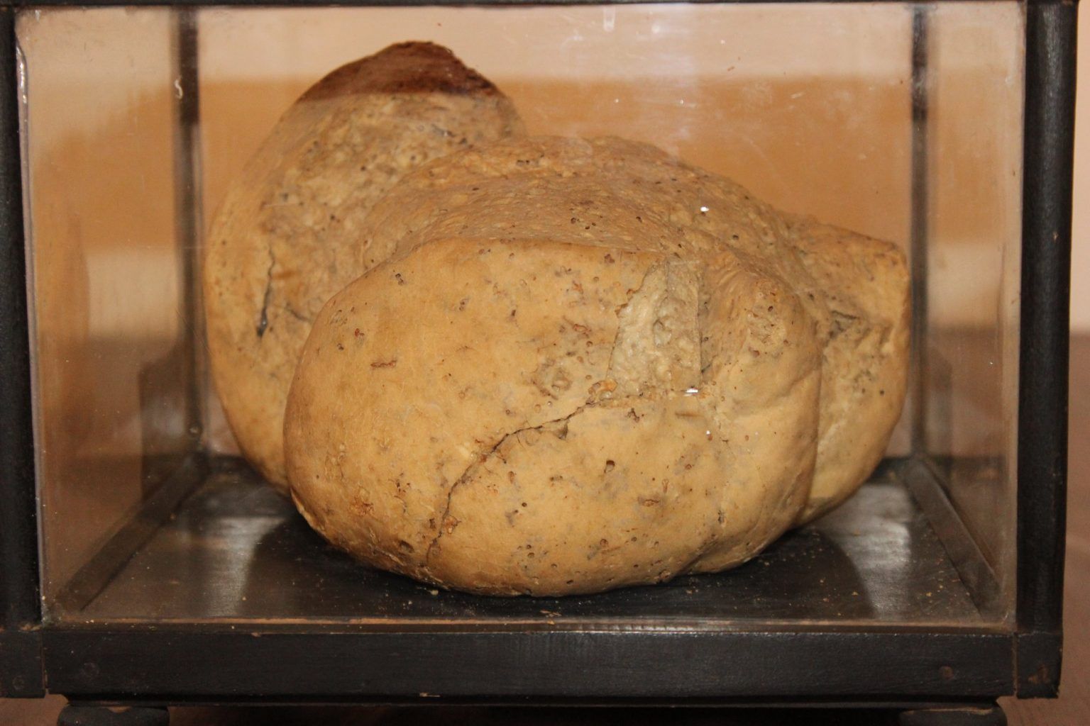 World's Oldest Bread, world record in Galați, Romania

