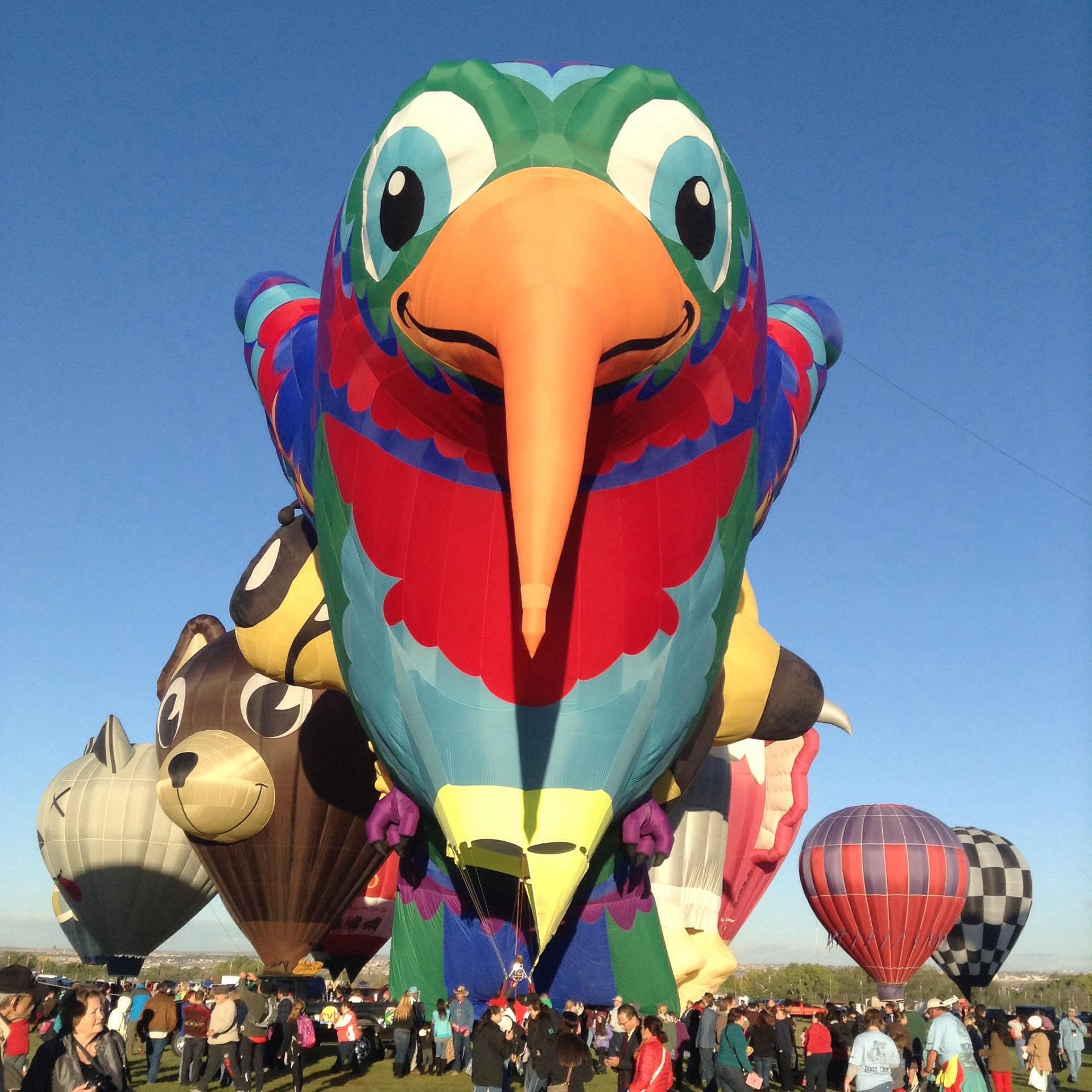 World's Largest Hot Air Balloon Festival, world record in Albuquerque, New Mexico
