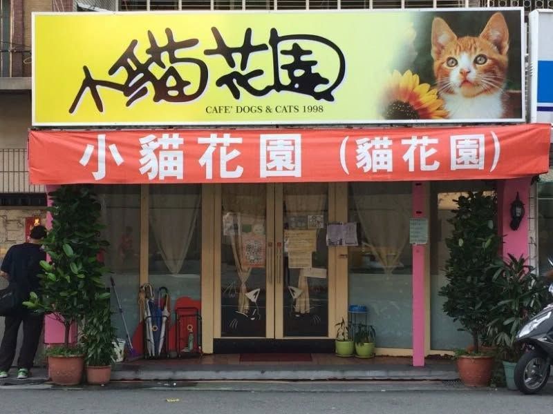 World's First Cat Cafe