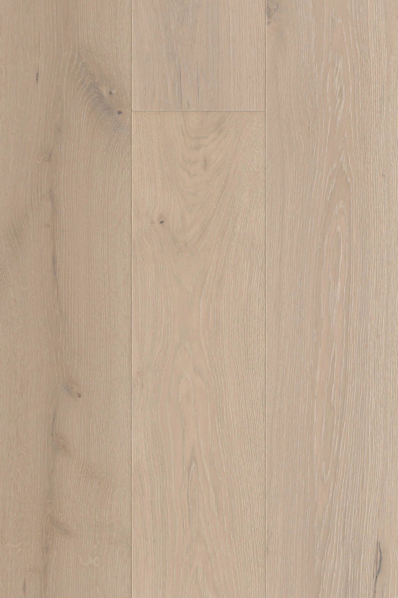 A close up of a piece of wood that looks like a piece of paper.