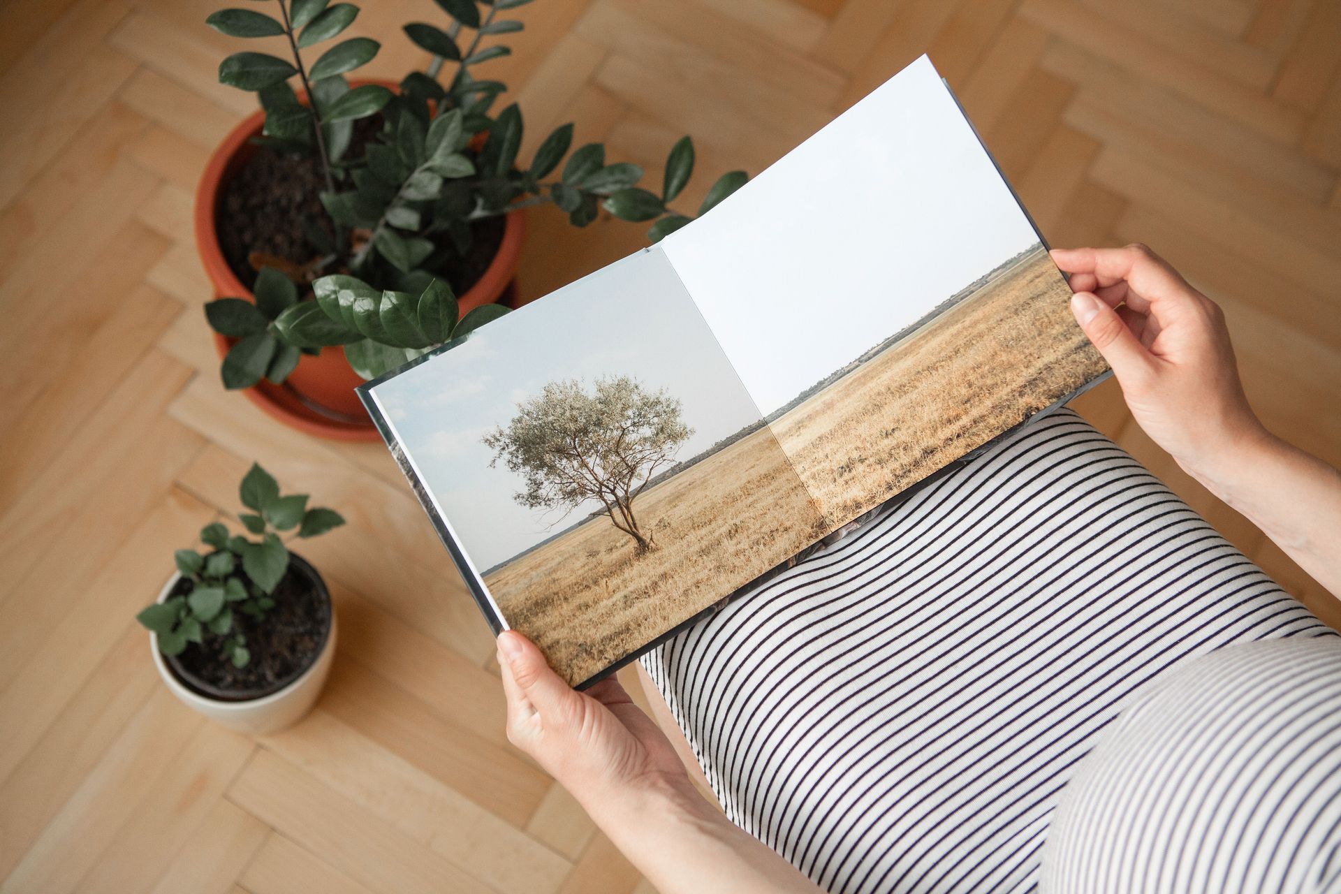 LIVRES PHOTO image