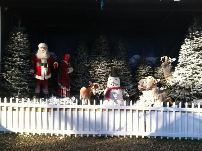 Outdoor Christmas Decoration Display