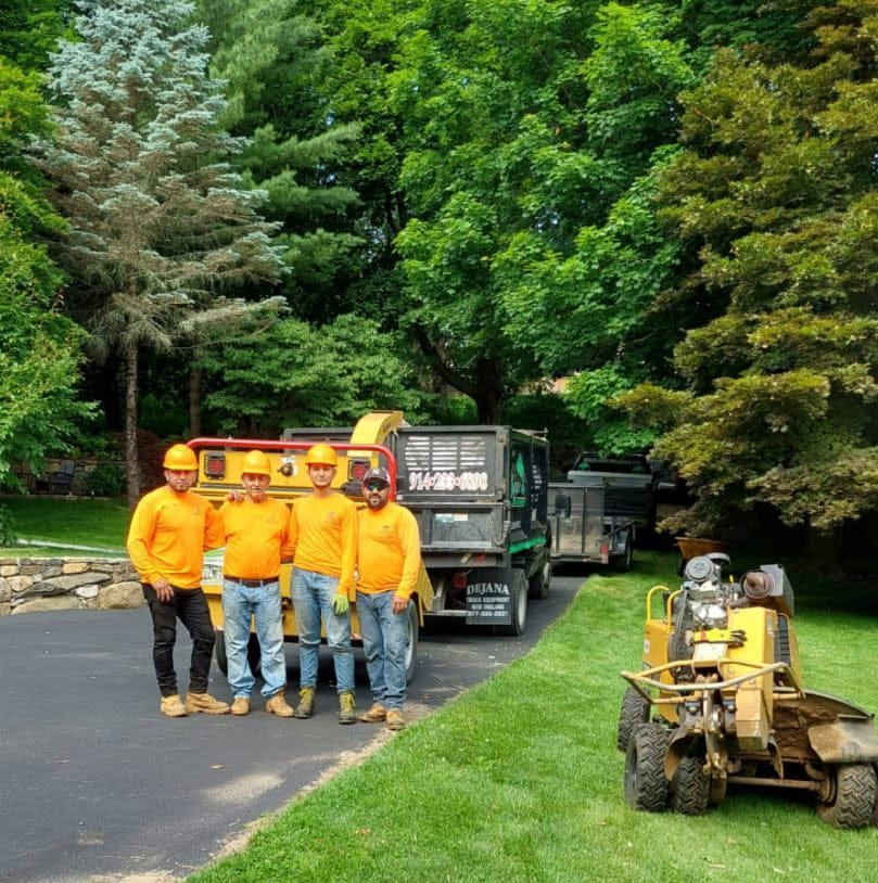 Four workers in orange shirts and helmets pose next to tree removal equipment on a driveway.