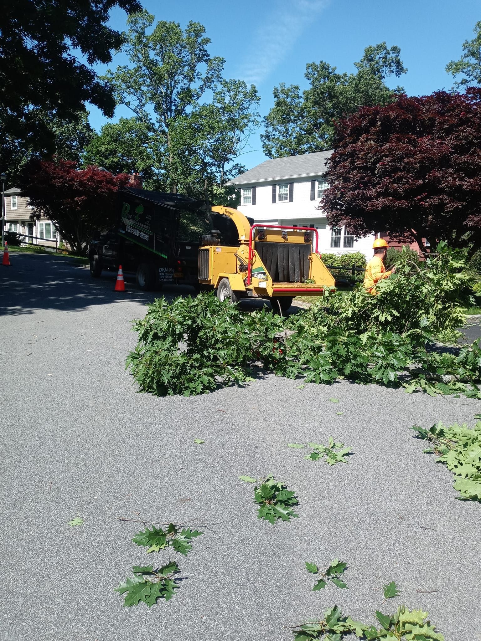 Wood chipper processing tree branches in a driveway next to a house.
