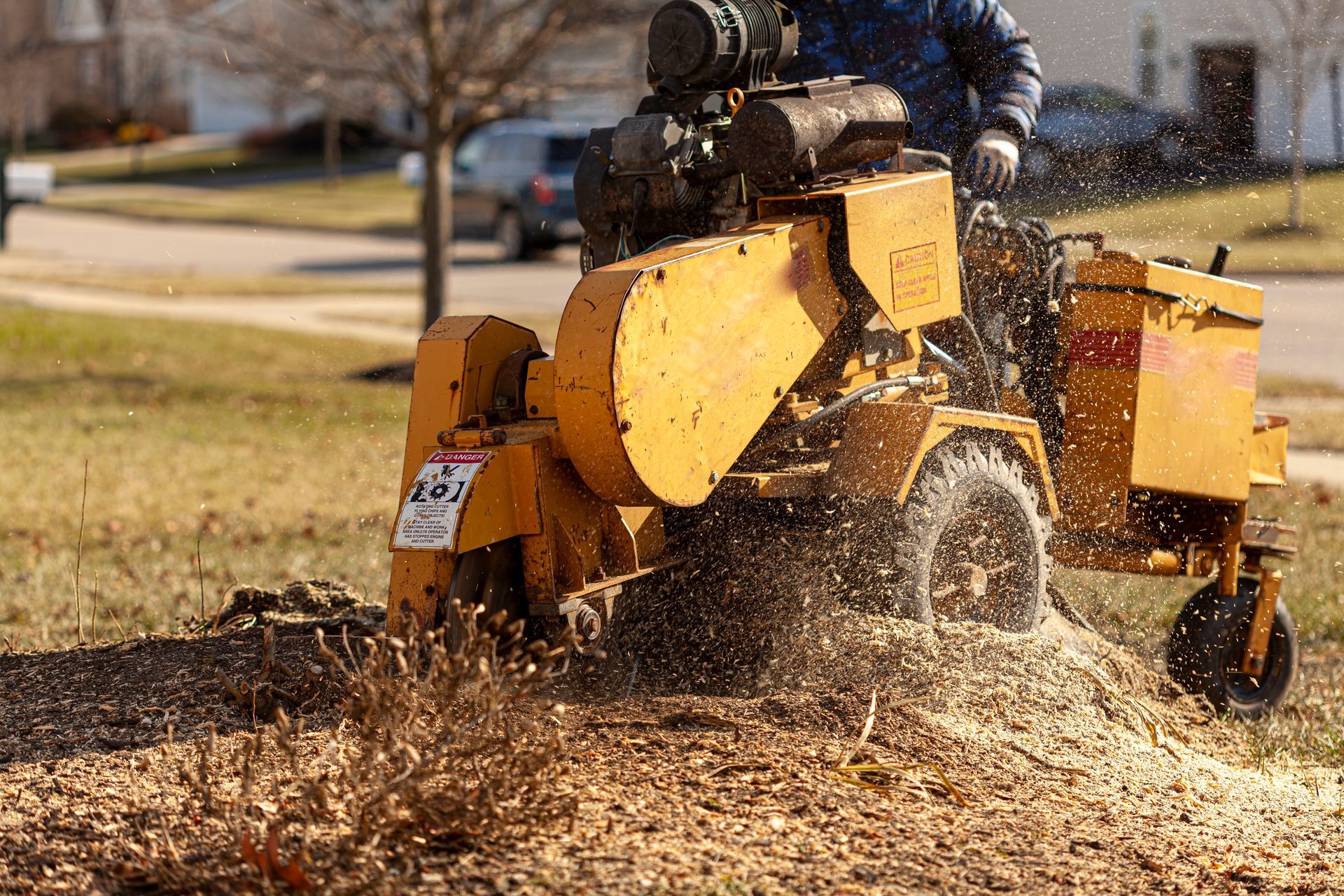 Yellow stump grinder grinding a tree stump on a lawn, wood chips flying, person operating.