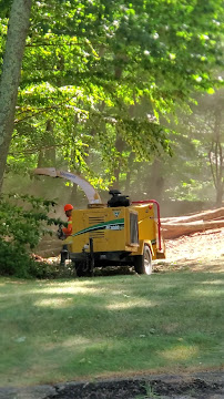 Wood chipper in use, processing tree limbs in a wooded area on a sunny day.