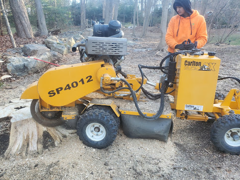 Man operating a yellow stump grinder on a tree stump, outside.