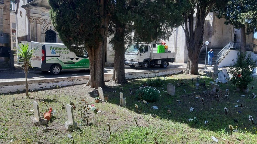 Disinfestazione giardino