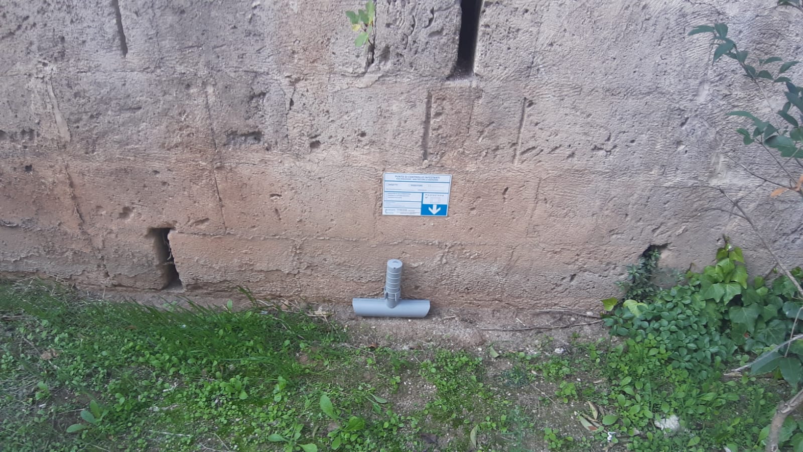 disinfestazione