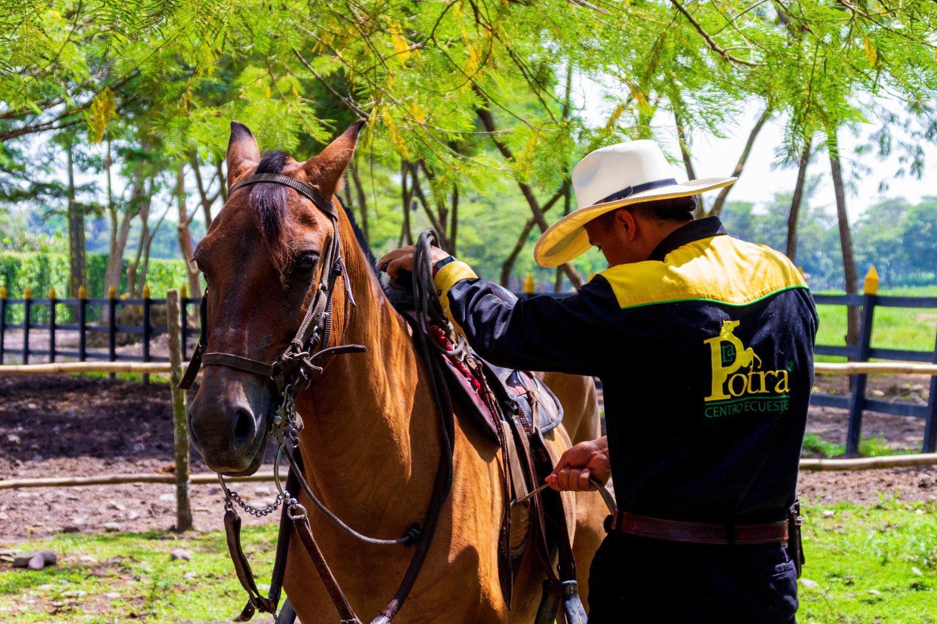 experiencia en la potra campestre villavicencio