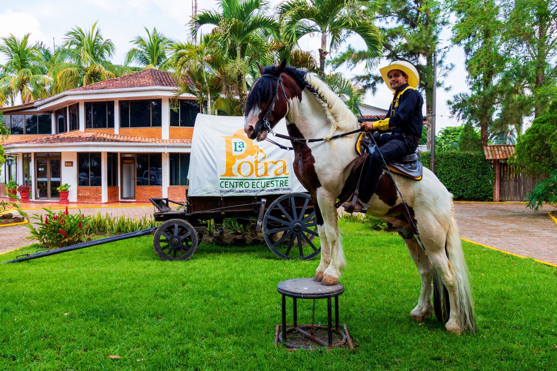 pasadia verde naturaleza hotel campestre la potra