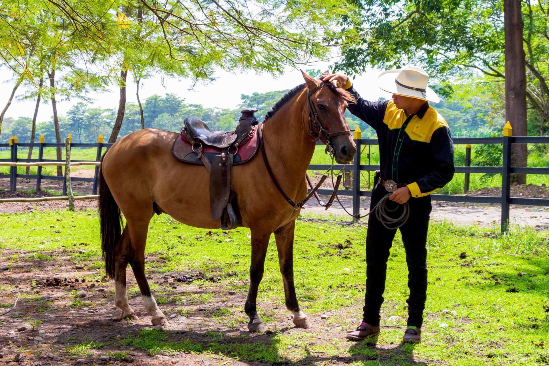 pasadia campestre experiencia la potra