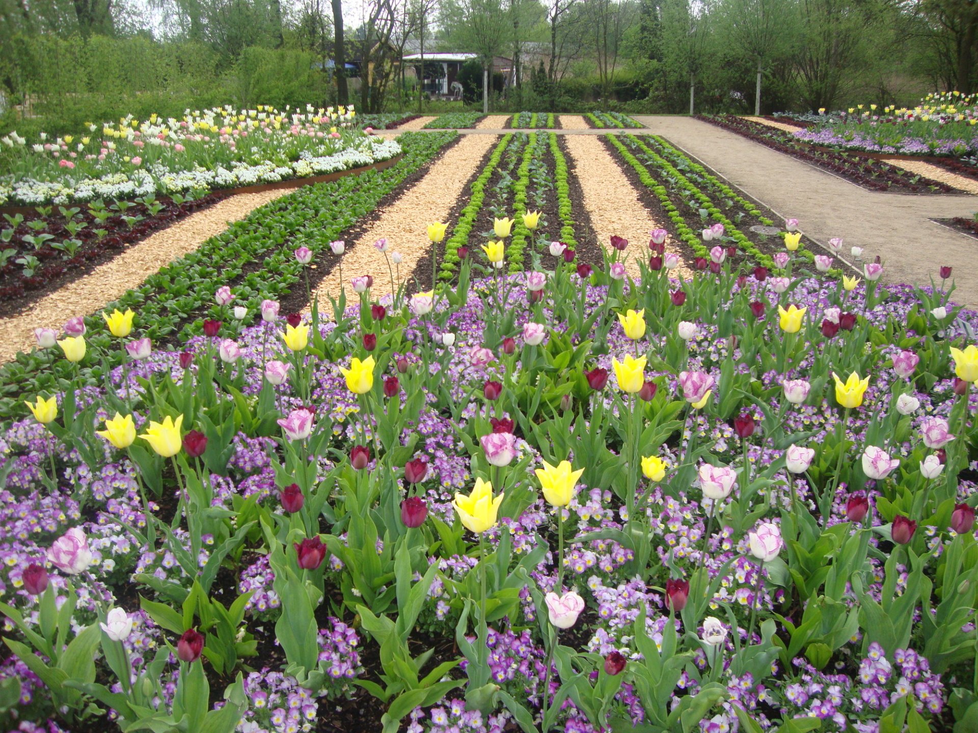 Install or remove plants Landscapers Carson City, NV