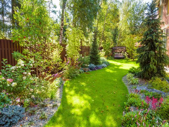 Lawn and plants laid out in Carson City Nevada