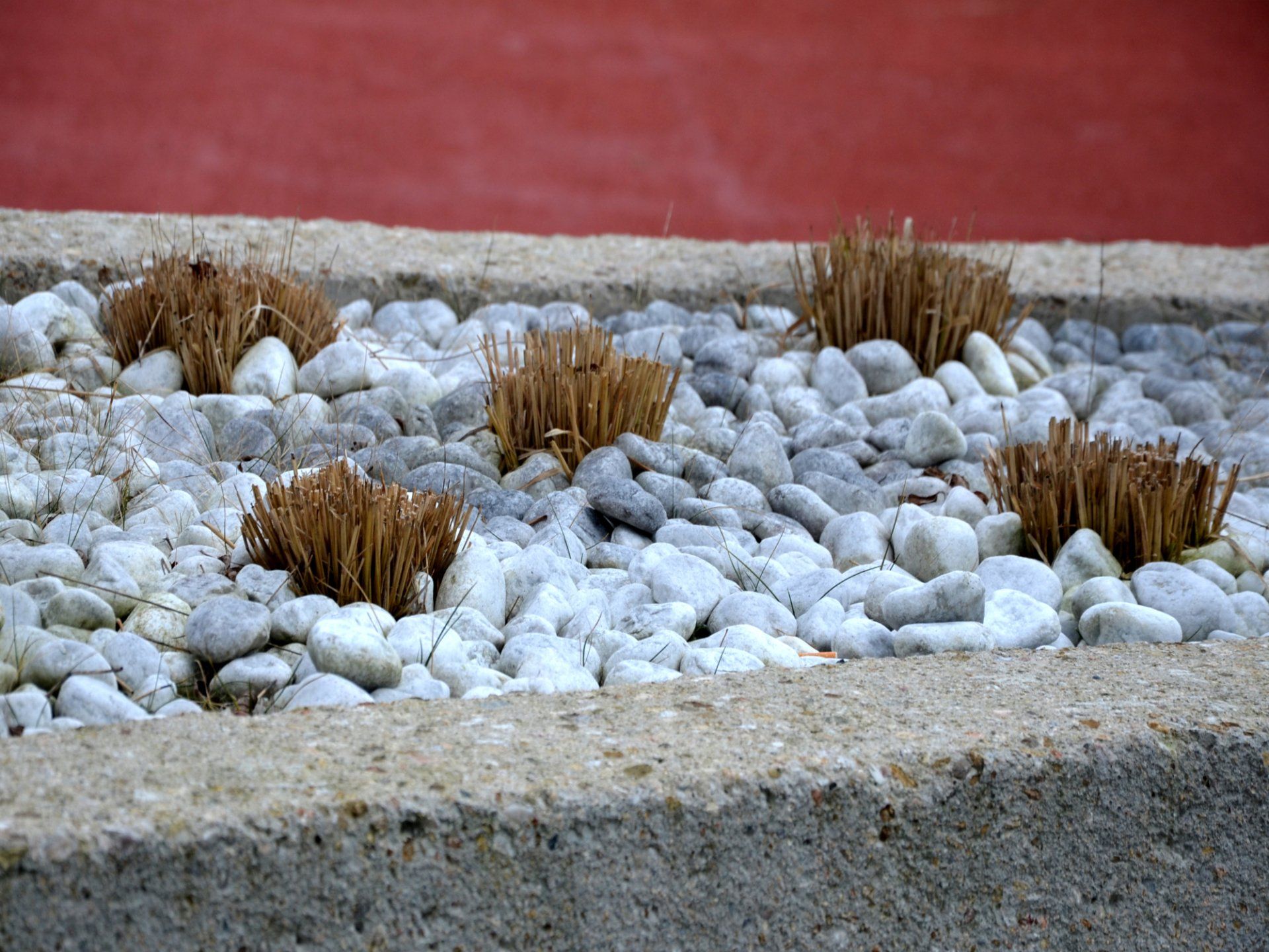 Landscape rock in Carson City Nevada