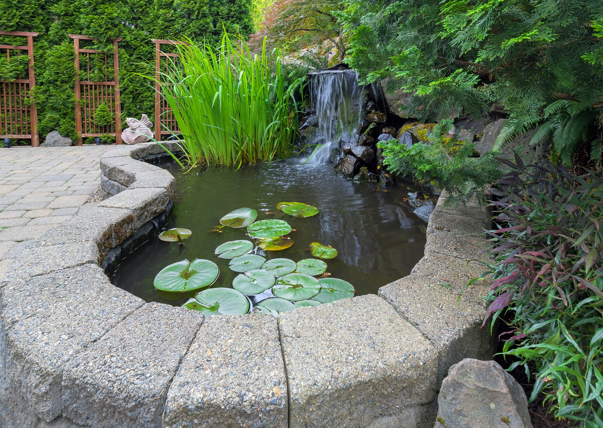 Pond with a waterfall at a house in Reno Pond and a waterfall in a garden in Reno, Northern Nevada