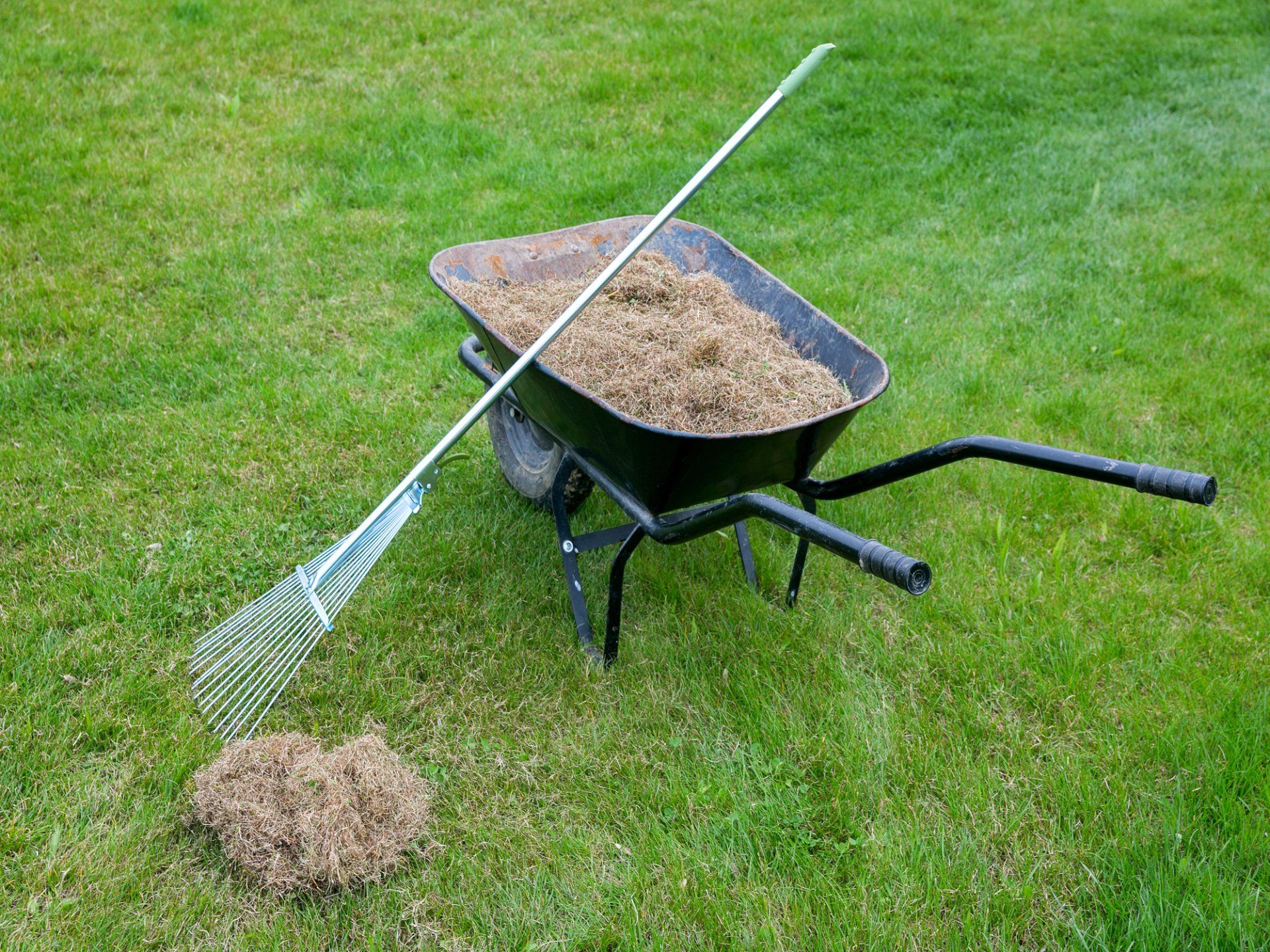 Thatch and a rake Thatch and a rake in a yard in Washoe City, Nevada