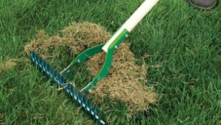 Thatch being raked Thatch being raked in Northern Nevada