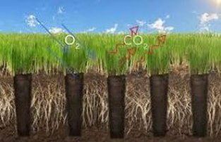 Aeration info-graphic Aeration info-graphic