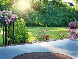 Newly installed plants and above ground planter New plants and above ground planter in Carson City