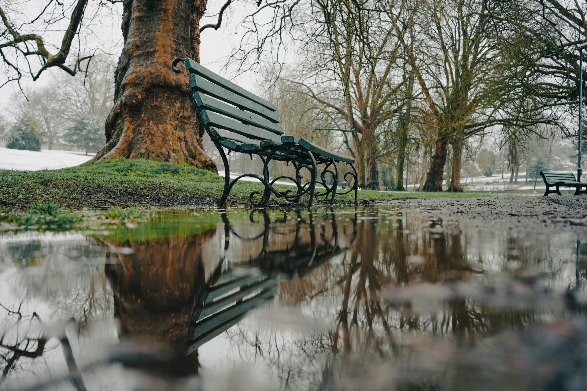 A park bench is sitting under a tree in a puddle of water.