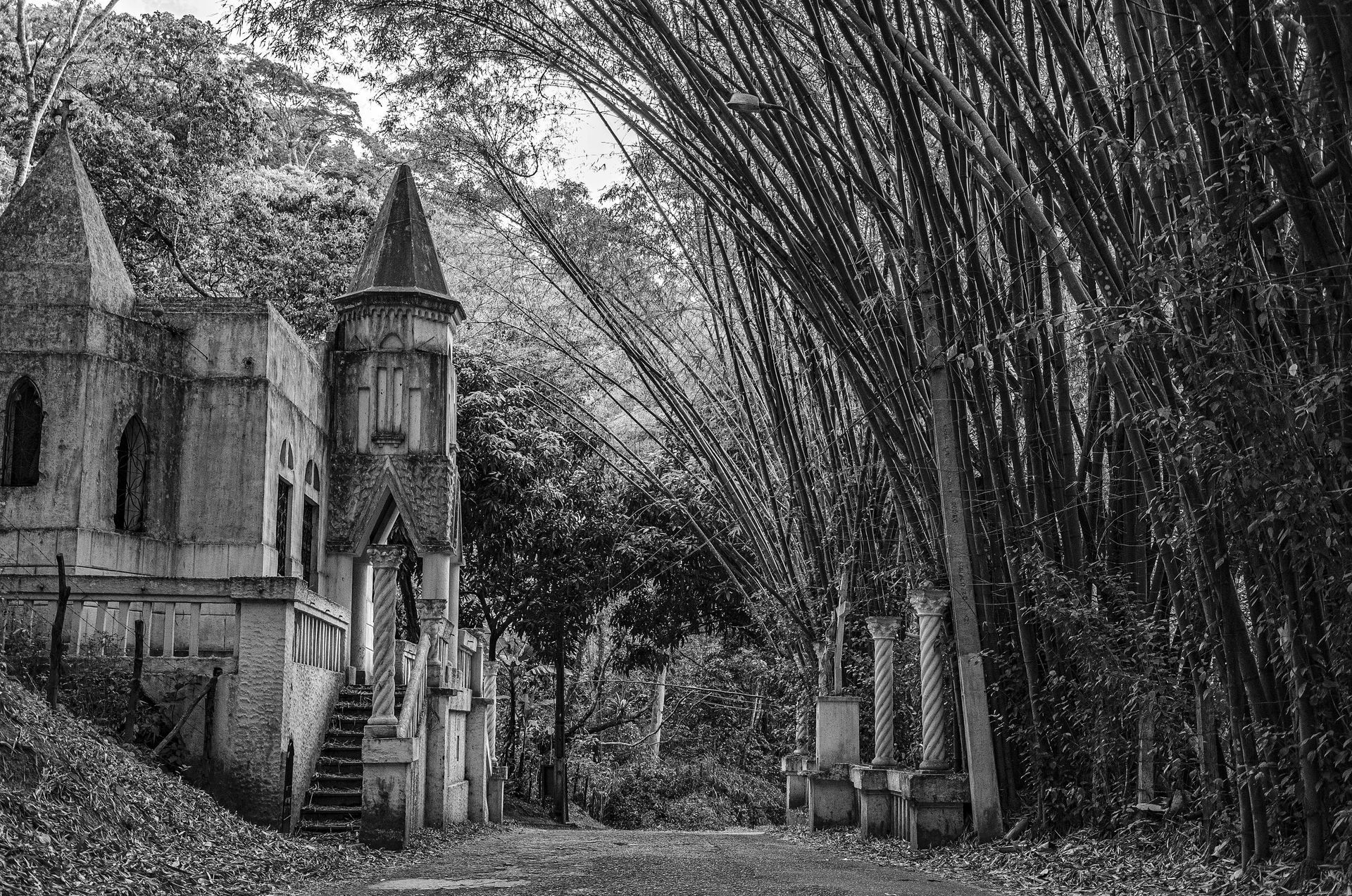 A black and white photo of a castle in the middle of a forest.