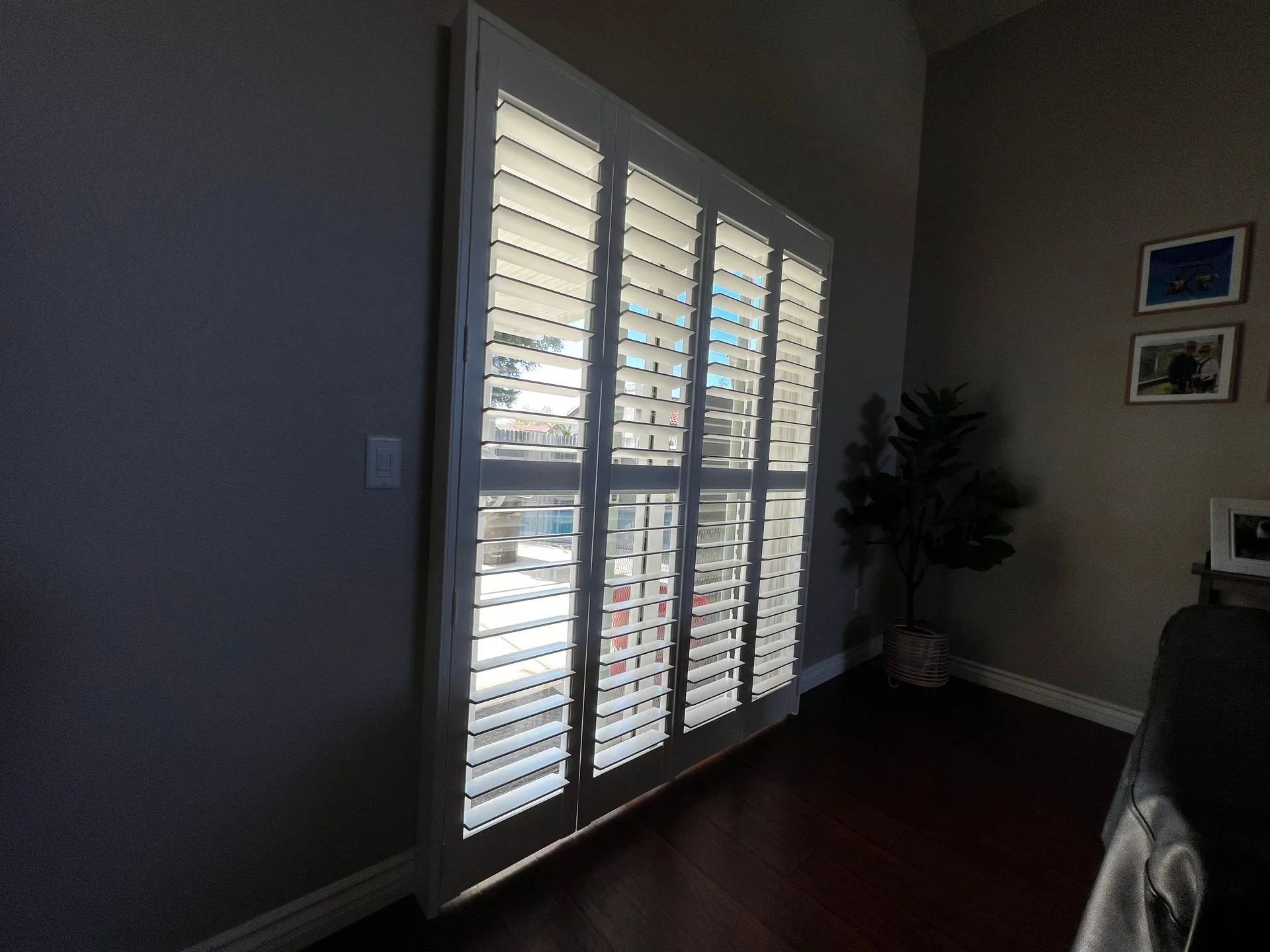 Living room with white plantation shutters, dark floors, and a potted plant by the window