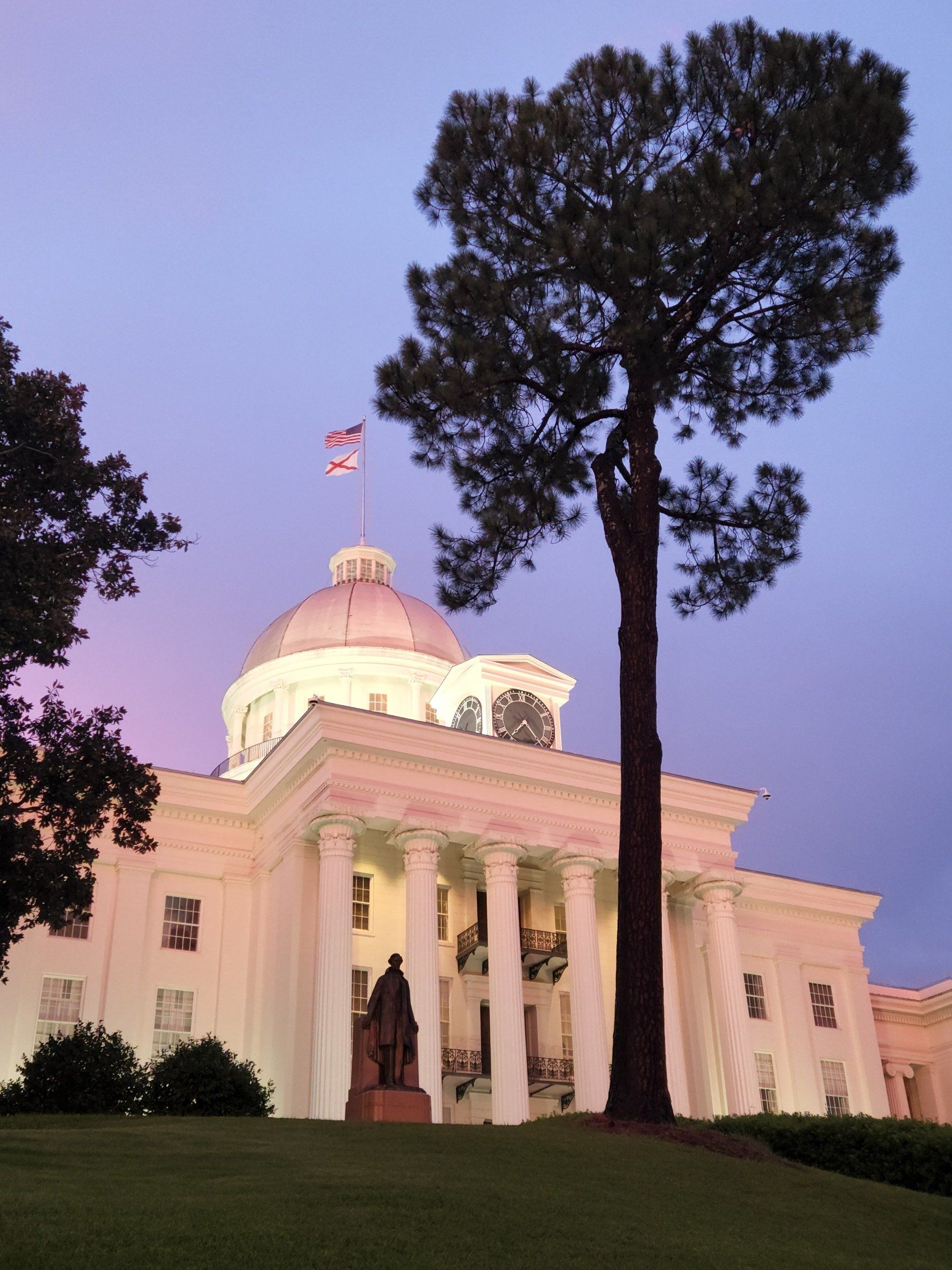 White domed neoclassical building at dusk, lit pink, with tall columns and a large tree in front.