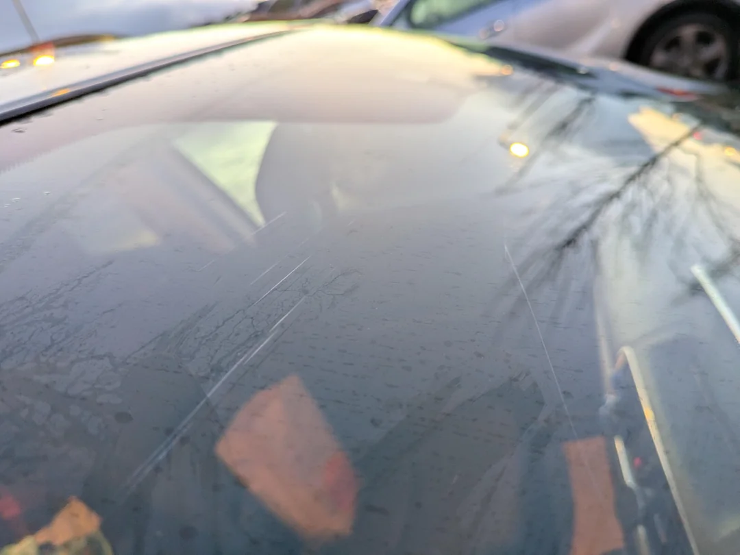  Rear Window Replacement