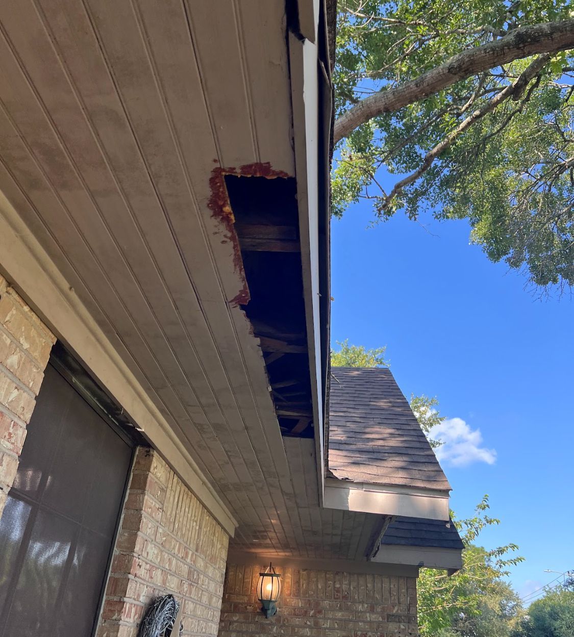 Damaged house eaves with missing soffit boards beneath a tree against a blue sky