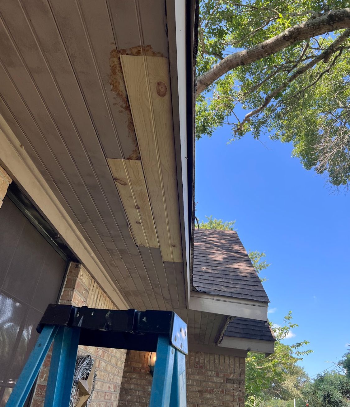 Blue ladder under a house eave beside a brick wall and tree branches against a clear sky