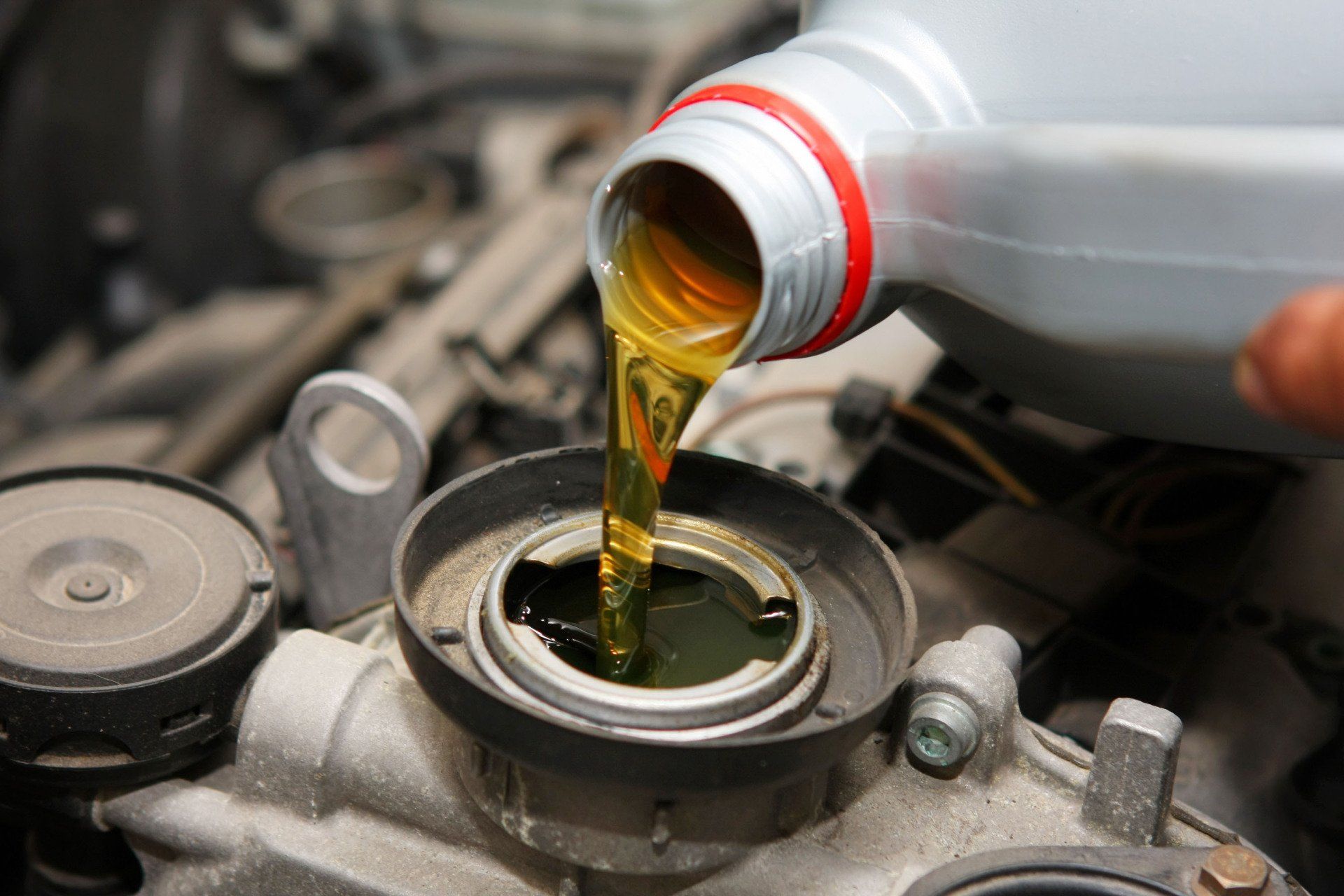 meccanico sostituisce olio a una vettura