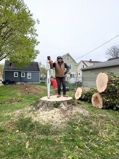 A man is standing on a tree stump with a chainsaw.