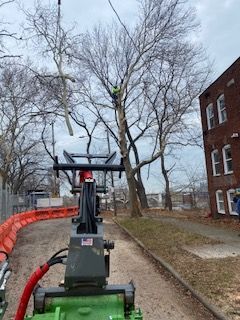 A man is cutting a tree with a machine in front of a building.