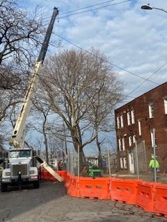 A truck with a crane attached to it is parked in front of a building
