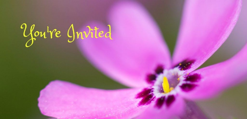 Youre Invited