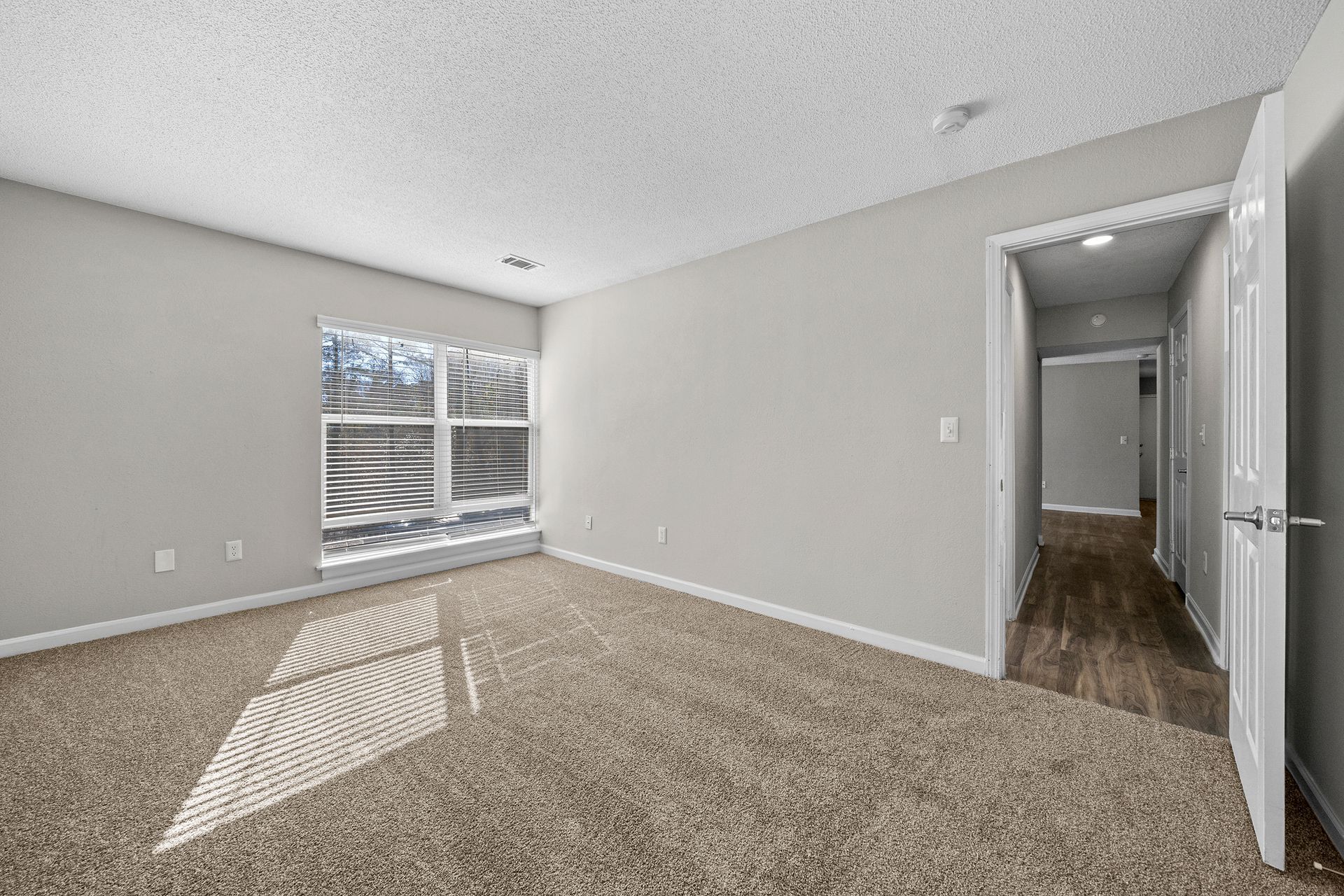 Empty beige carpeted bedroom with large window and hallway doorway, sunlight on the floor