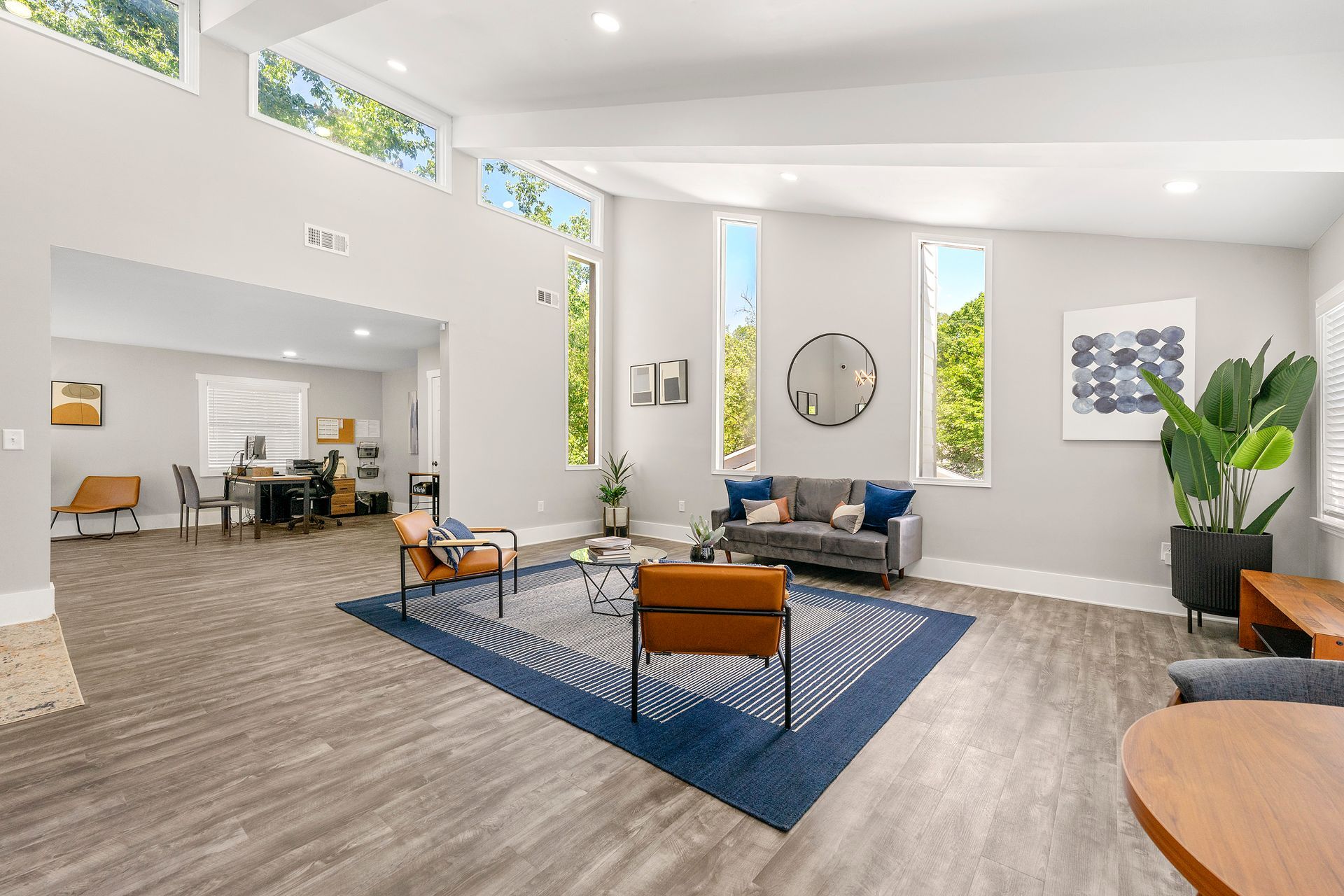 Bright modern living room with blue rug, orange chair, gray sofa, wall art, and tall plants