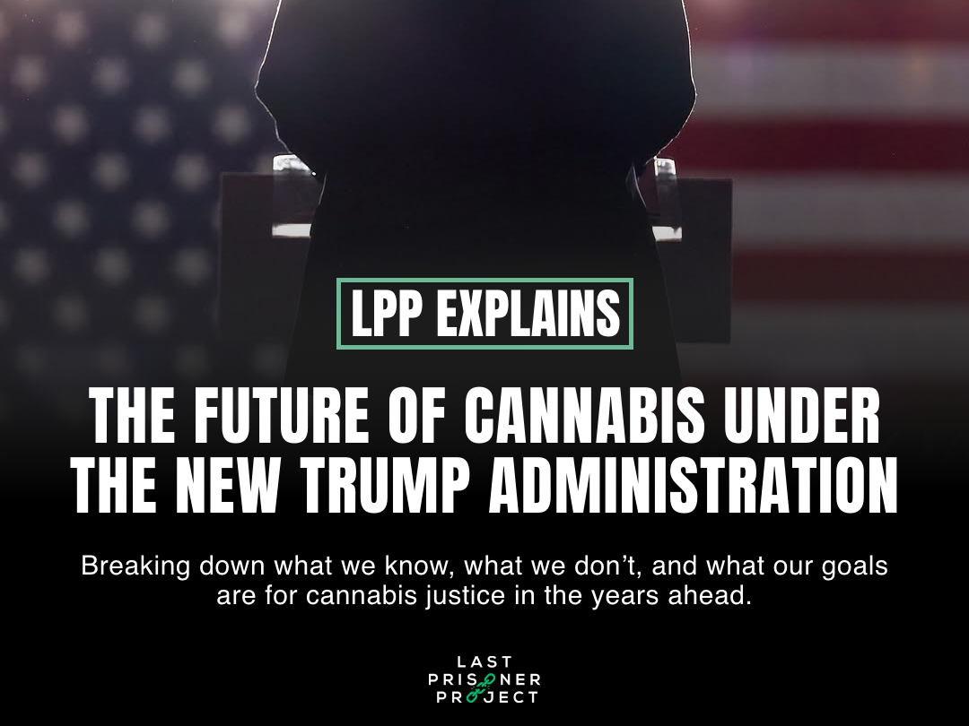 The $40 Coochie Economy and the Psychosexual Politics of Male Fragility., image size:1080x810