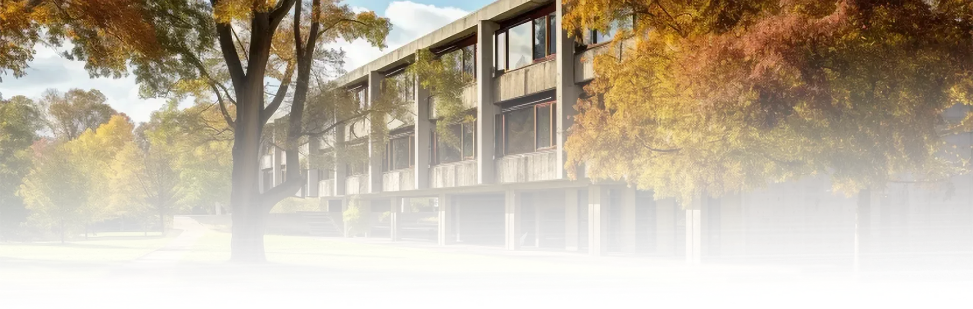 A large building with a lot of windows is surrounded by trees.