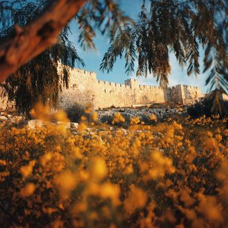Old City Jerusalem