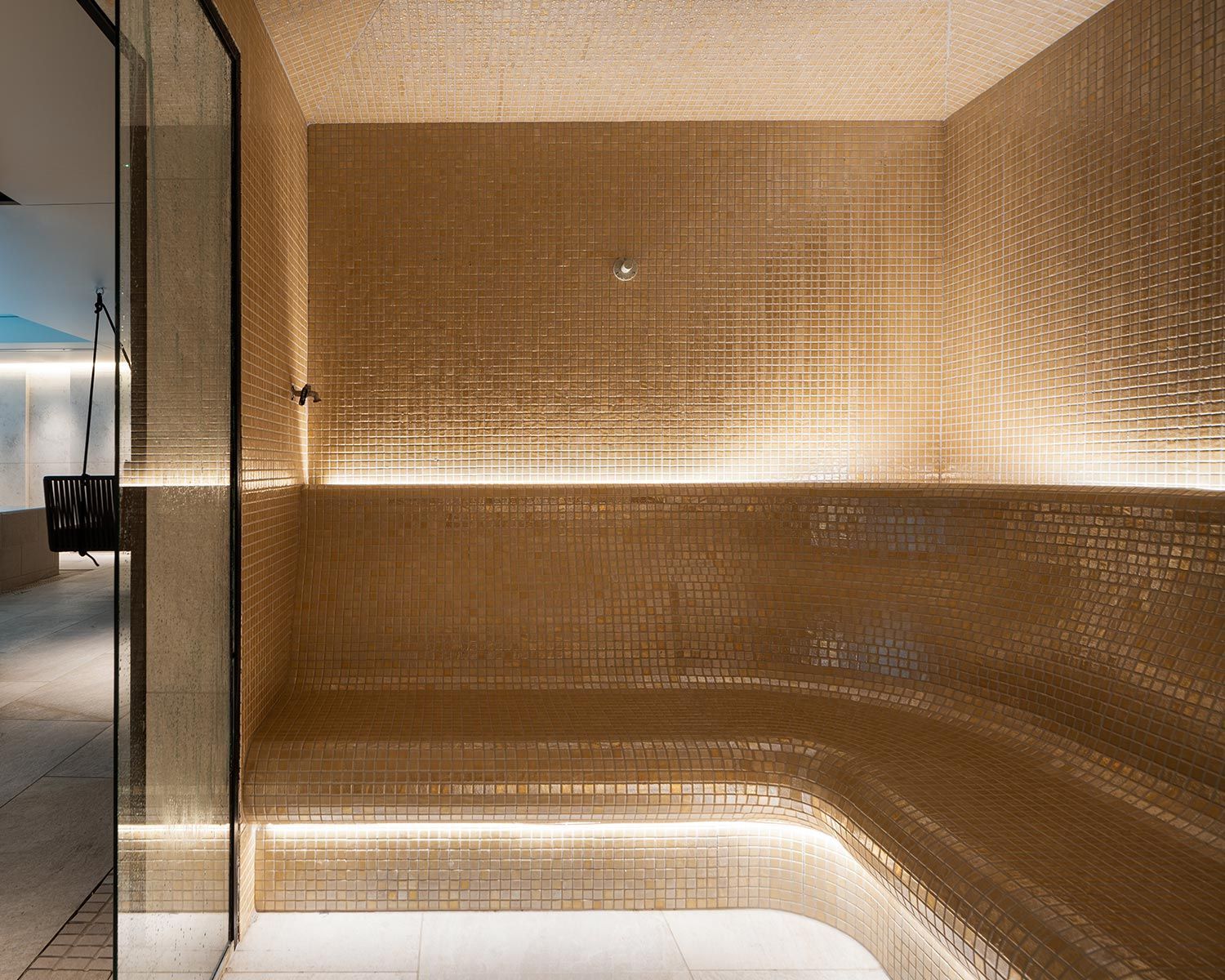 Cassia Steam Room