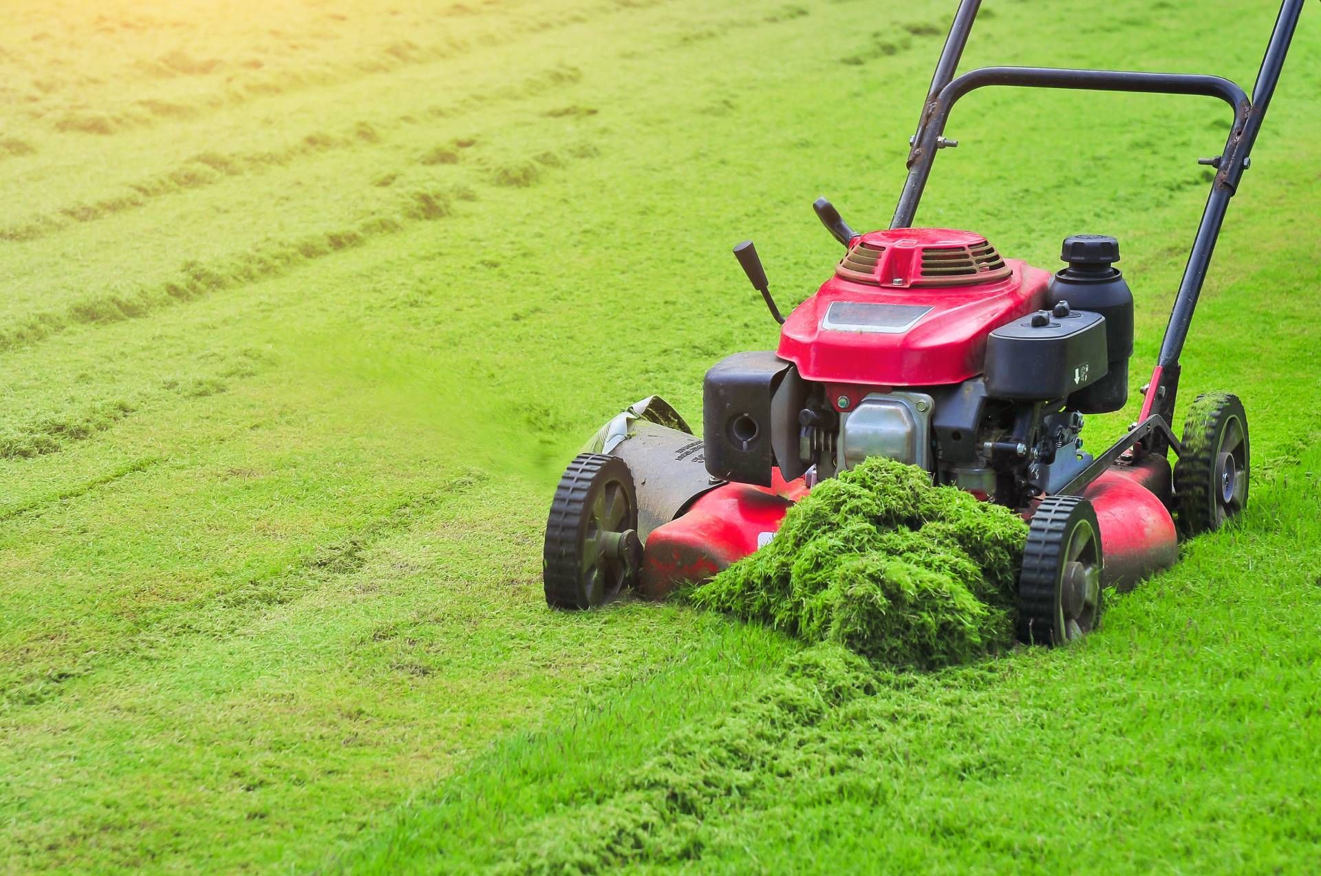 Red lawnmower cutting green grass in a yard, leaving freshly cut rows behind.