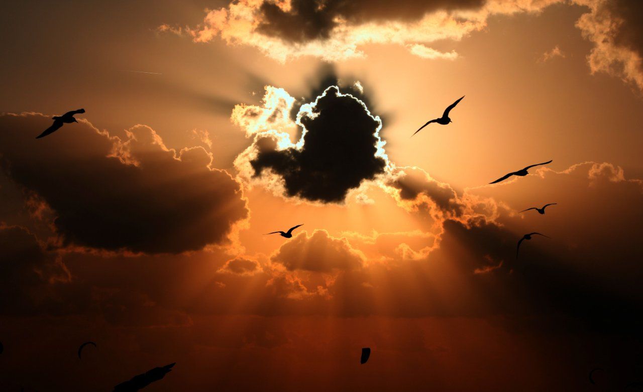 Peaceful birds flying beneath a cloudy sky symbolizing remembrance and healing for funeral home and cremation services in Northeast Philadelphia, PAImage: