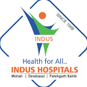 Associated with Indus International Dera Bassi
