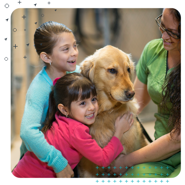 Pet charity